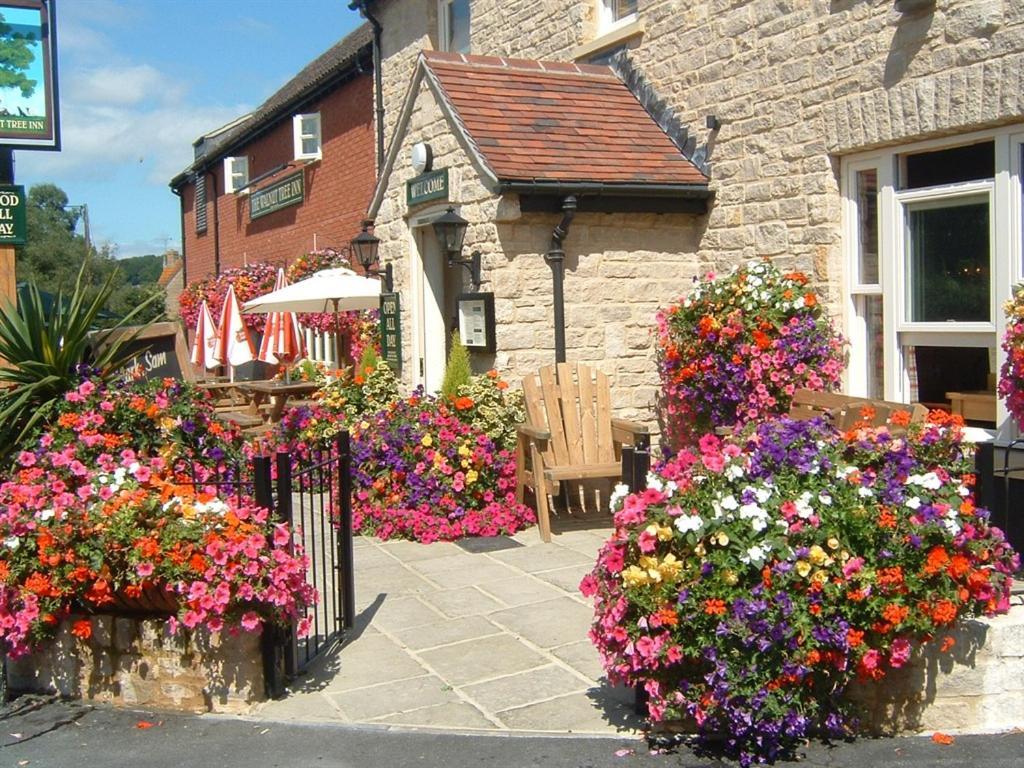 The Walnut Tree Inn Mere Mere  외부 사진